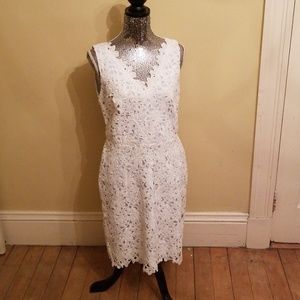 Ann taylor loft dress